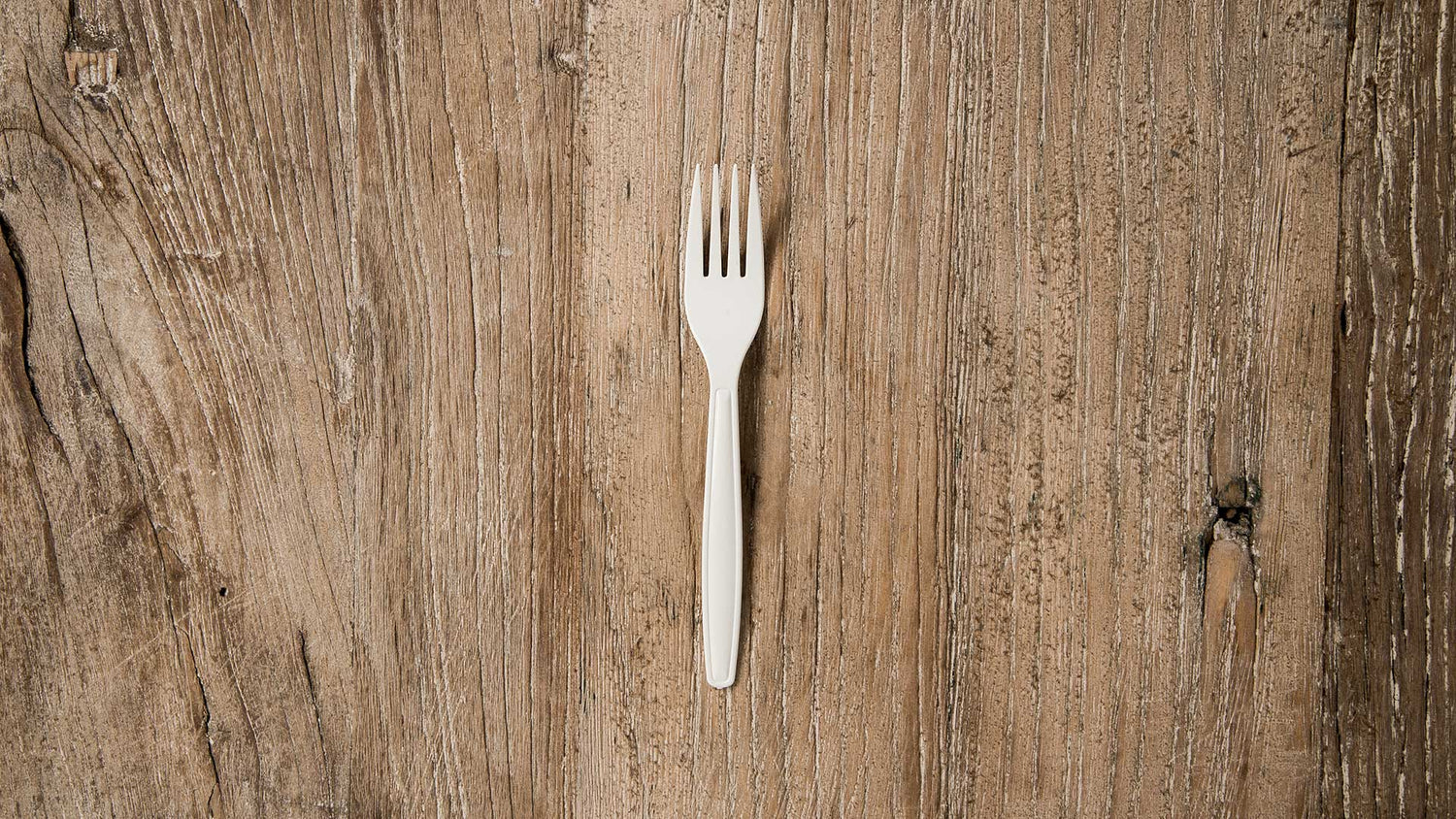 posate monouso biodegradabili compostabili forchette coltelli cucchiai cucchiaini dessert forchettine eco bio
