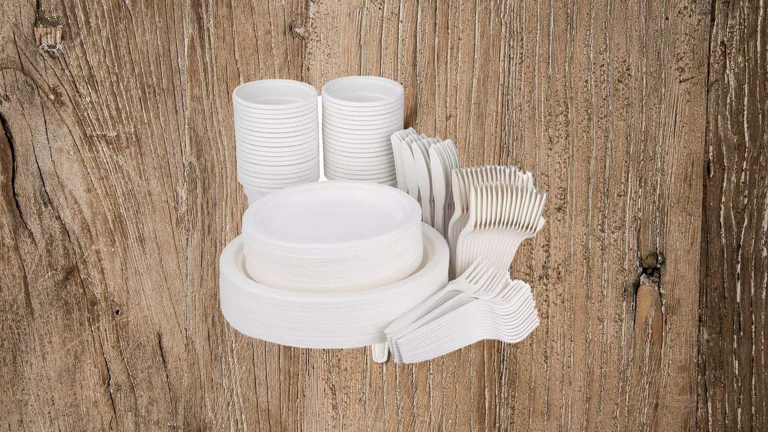 set kit piatti biodegradabili posate picnic completo ospiti feste cene 